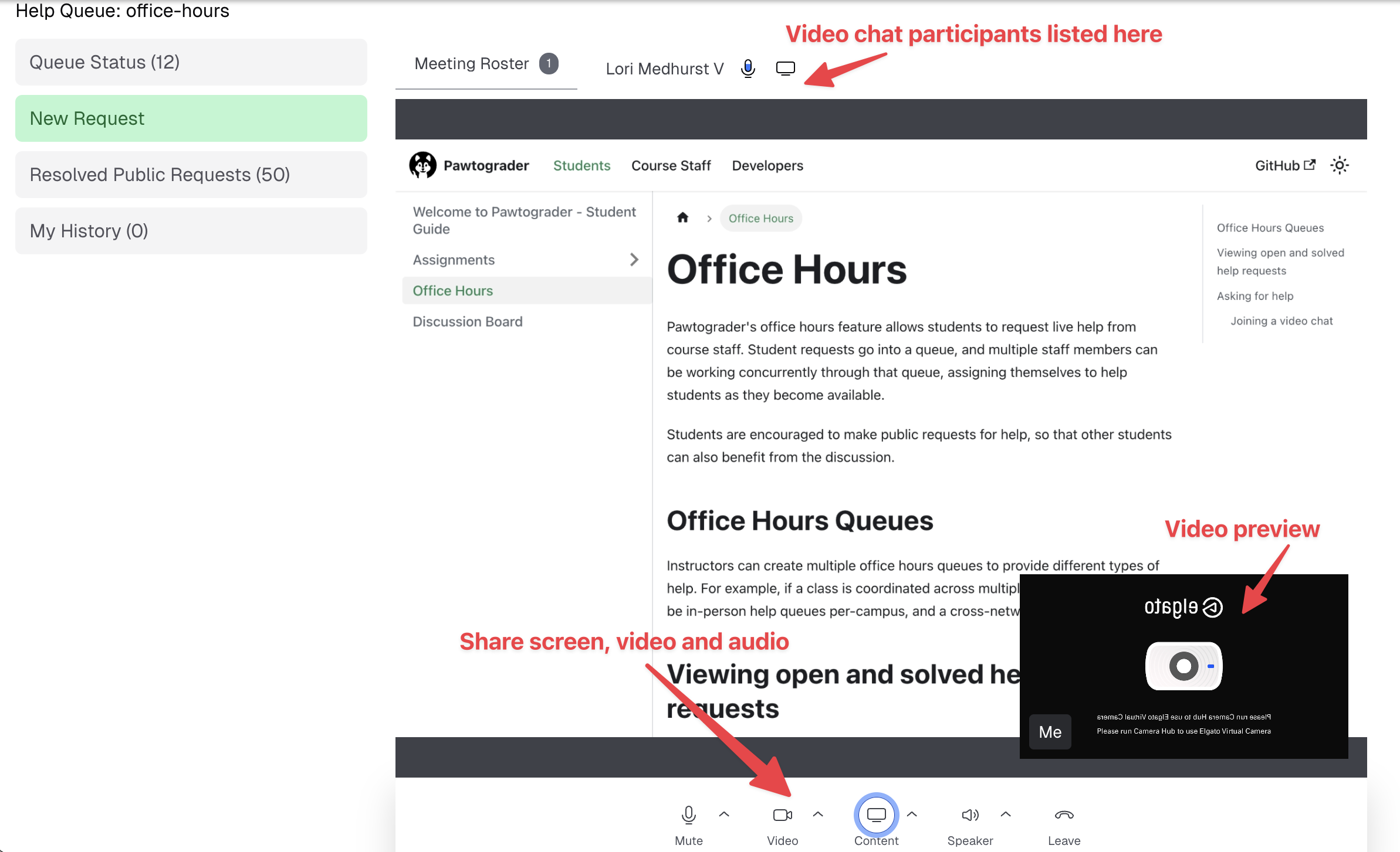 Screenshot of the video chat window