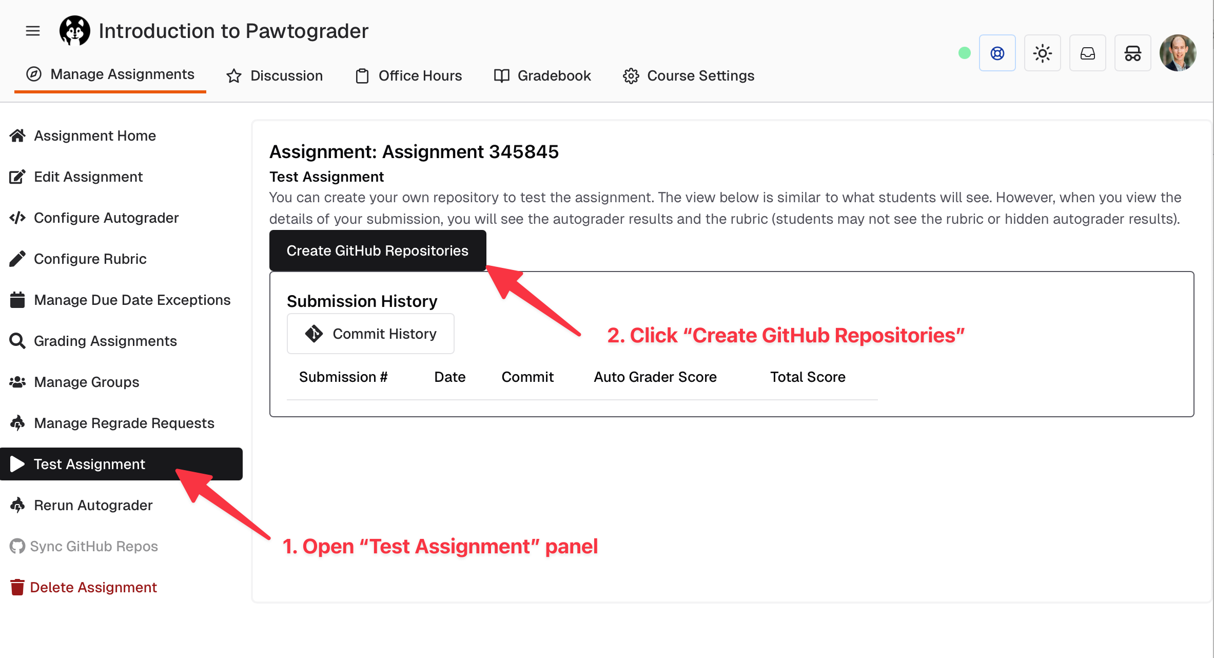 Screenshot of the Test Assignment button
