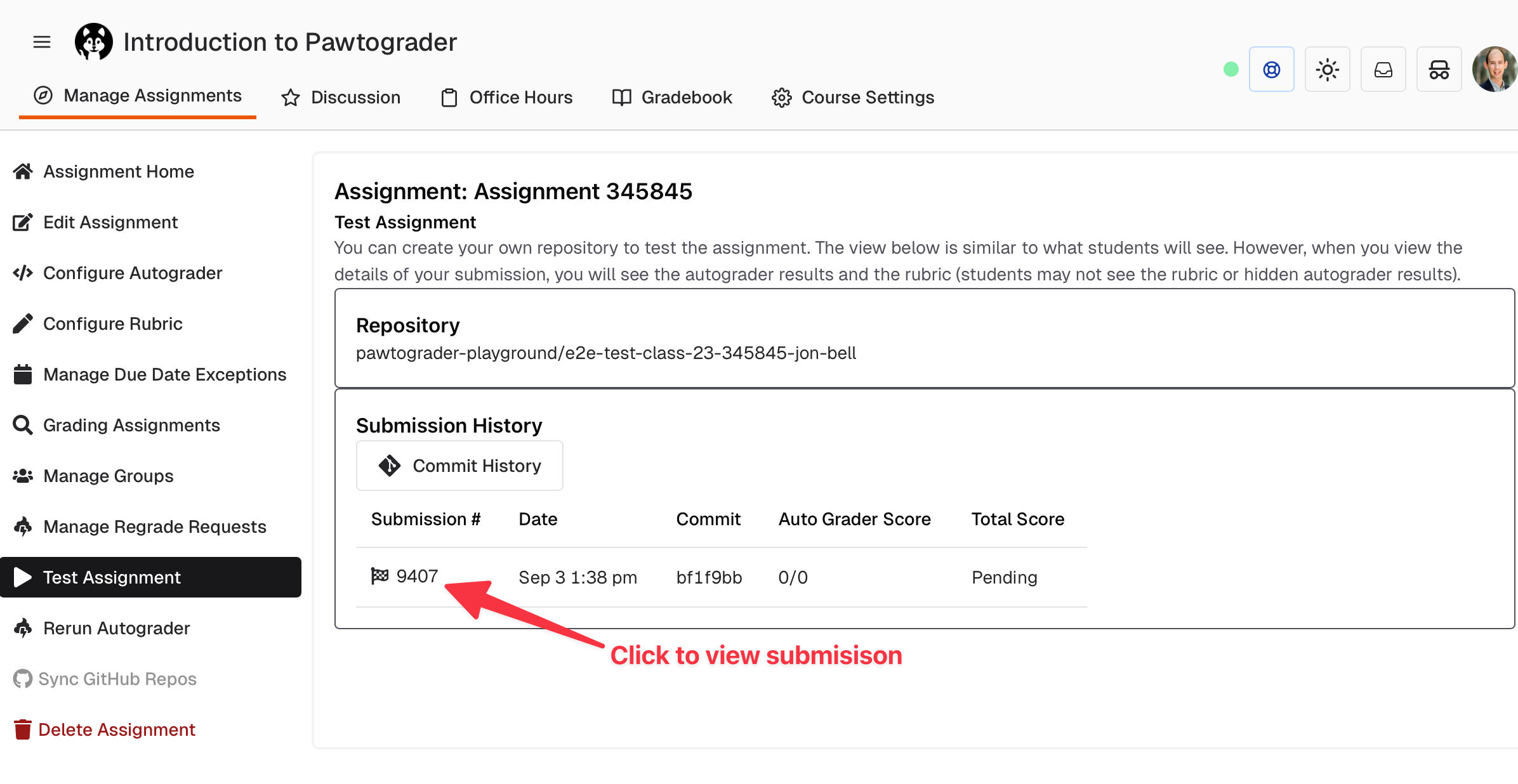 Screenshot of link to view the test submission